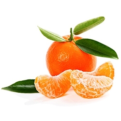 Satsuma